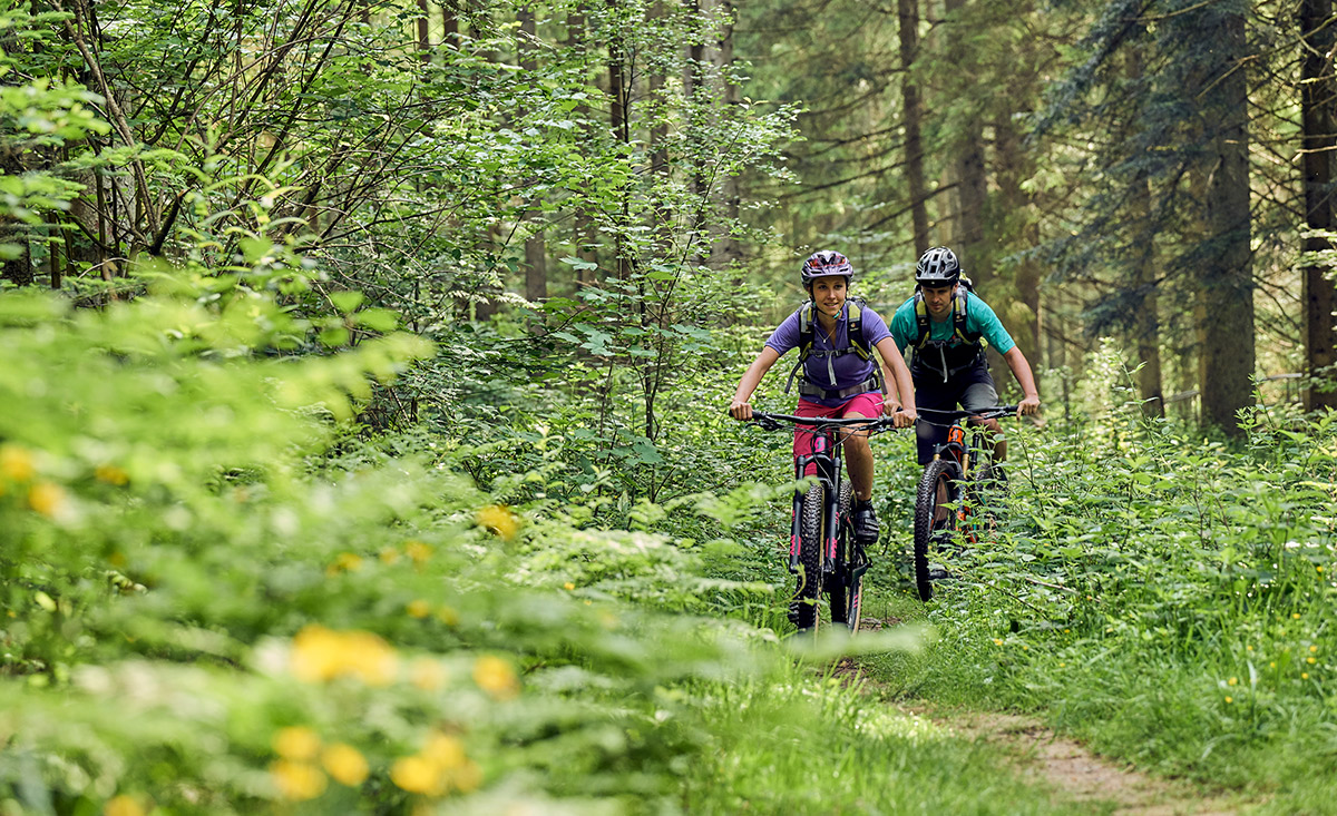 Biken Bayerischer Wald