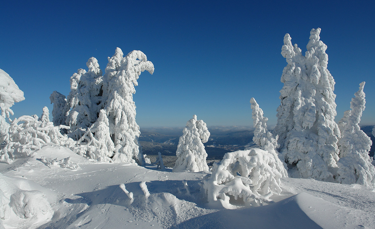 Winterwonderland Bayerischer Wald
