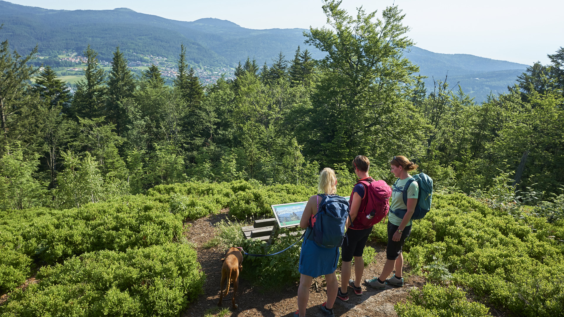 Familienwanderungen Bayerischer Wald Chalet-Urlaub Königchalets Bodenmais