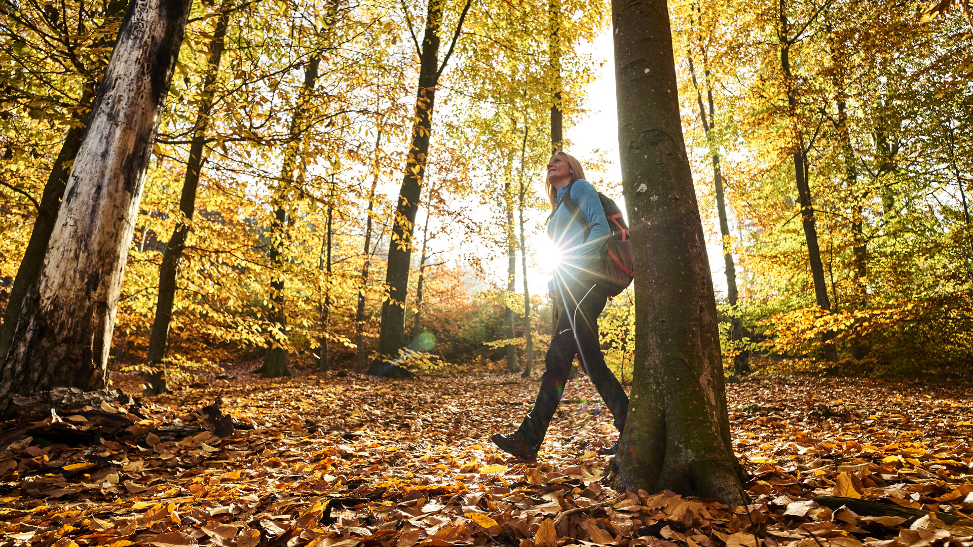 Wandern Bayerischer Wald Königchalets Bodenmais Sommerurlaub Bayern