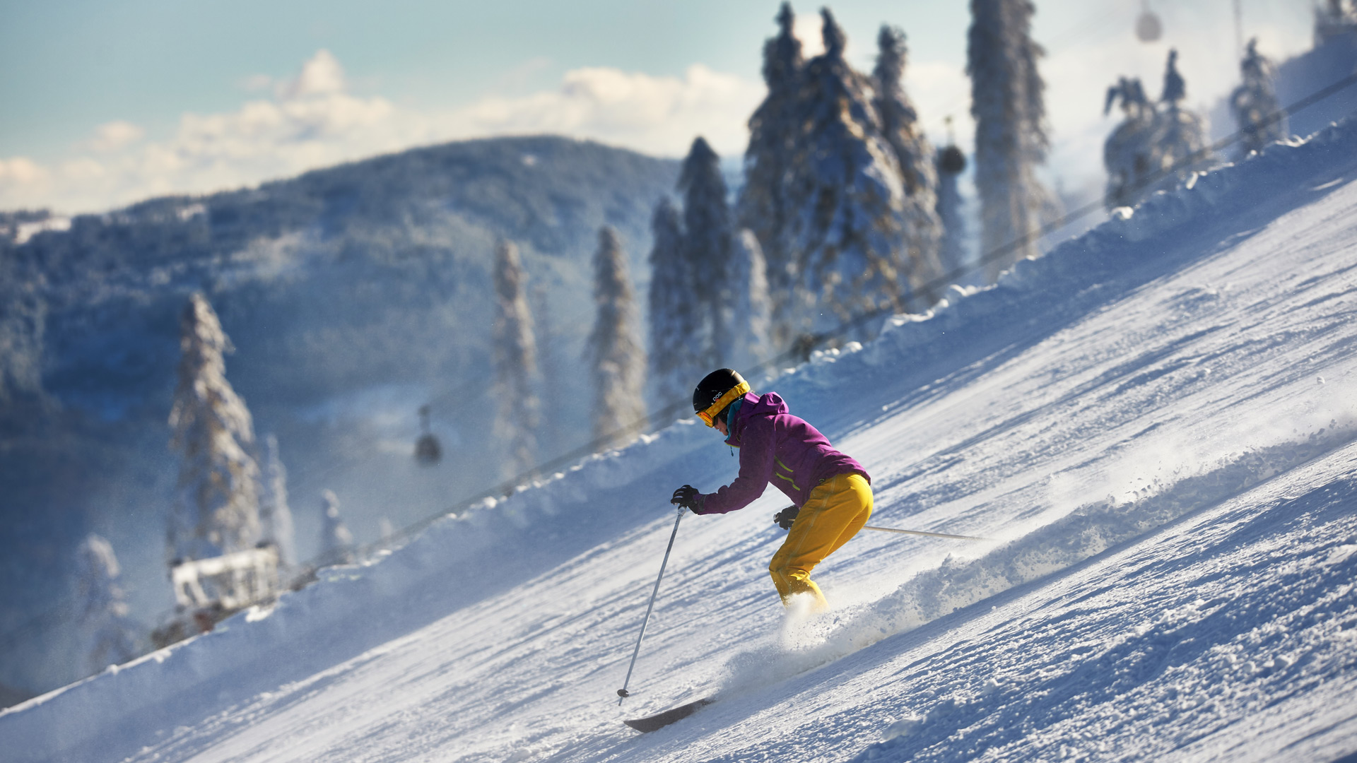 Skifahren Bayerischer Wald Skiurlaub Königchalets Bodenmais Bayerm