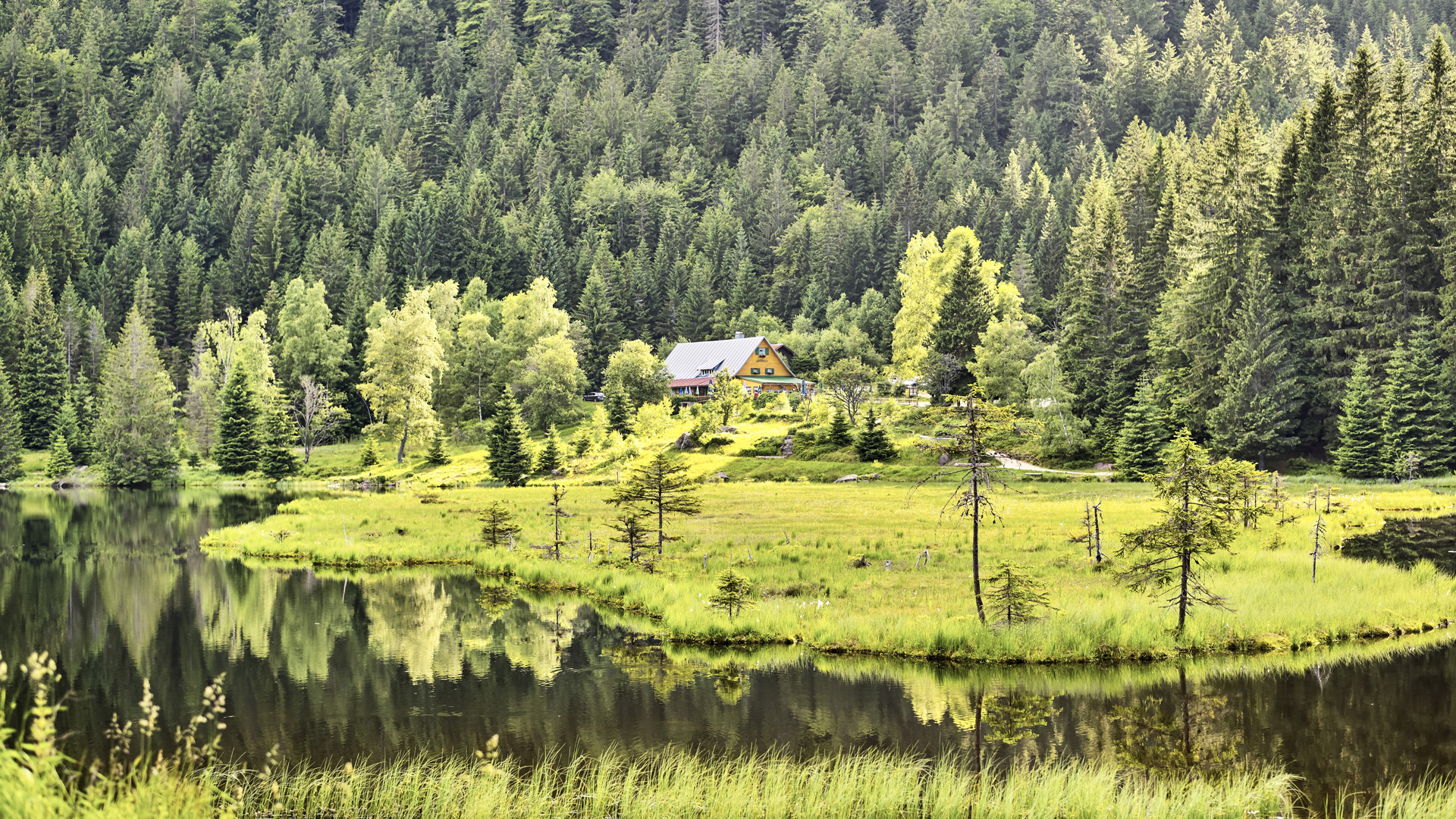 Kleiner Arbersee Chalet-Urlaub Bayerischer Wald