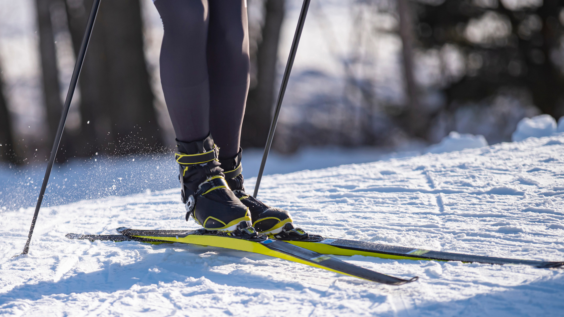 Langlaufen Bayern Luxuriöser Winterurlaub Königchalets Bodenmais