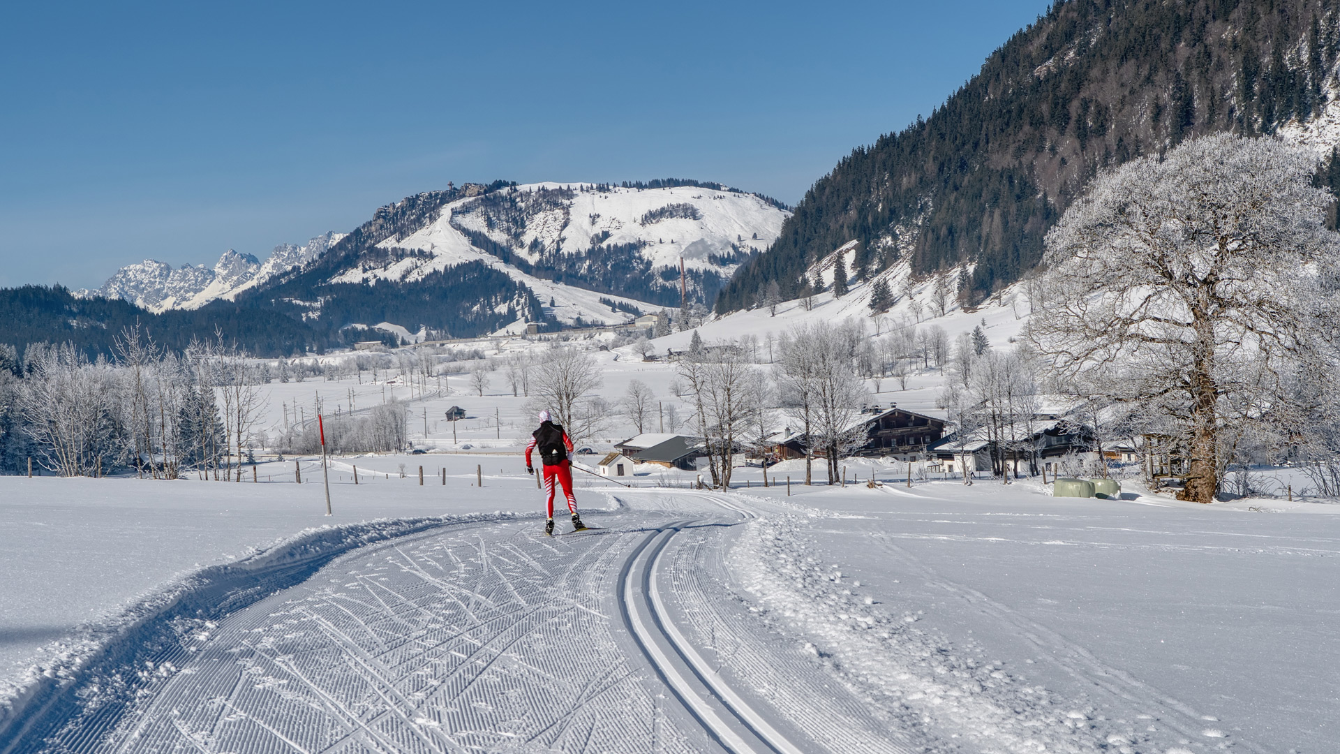 Ski Cross Langlaufen Bodenmais Bayerischer Wald