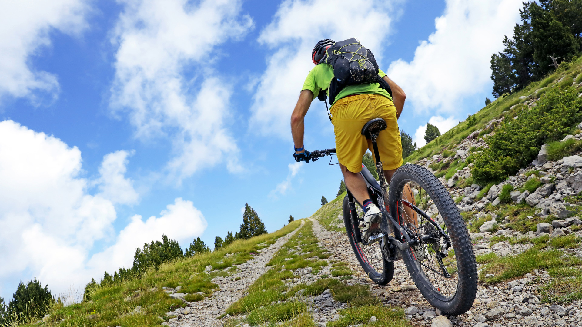 MTB-Region Bayern Sommerurlaub Chalets Bodenmais