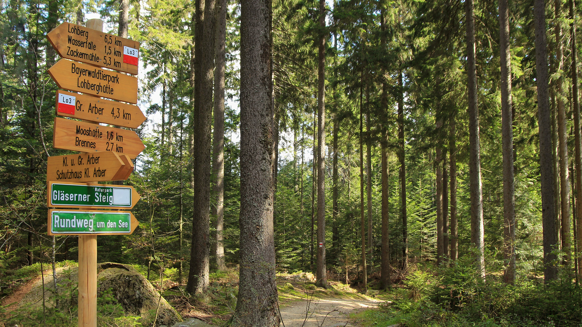 Wanderregion Bodenmais Bayerischer Wald Deutschland